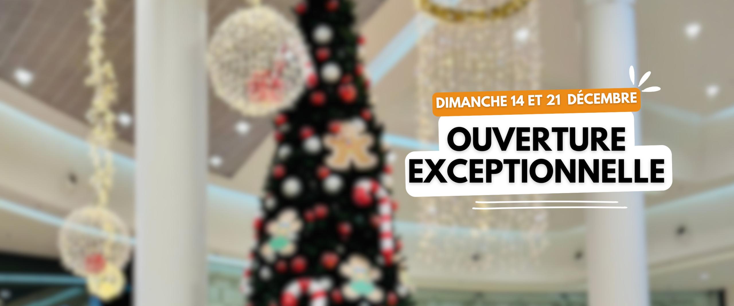 Ouverture 14 Et 21 Décembre