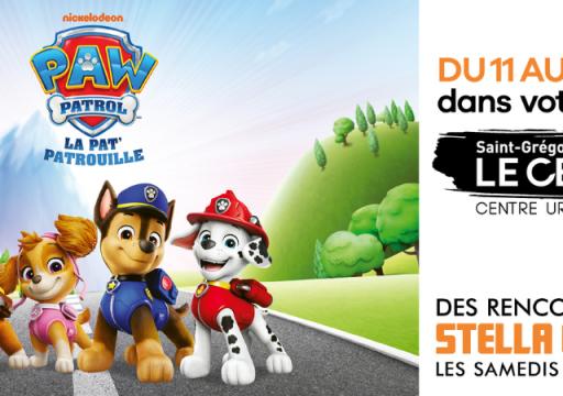 Article Pat Patrouille